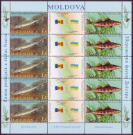 2007 Moldova Moldavie Moldau  Sheet  Protected Fauna. Fish. Dniester, Ukraine Mint - Emissions Communes