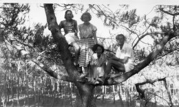 Photo Vintage Paris Snap Shop -groupe Femme Homme Arbre Tree - Anonymous Persons