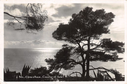 06-COTE D AZUR-N°4190-H/0391 - Other & Unclassified
