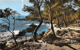 83-COTE D AZUR-N°5136-E/0181 - Andere & Zonder Classificatie