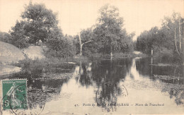 77-FONTAINEBLEAU LA FORET-N°5136-G/0373 - Fontainebleau