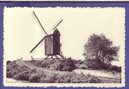 BELGIQUE - SAINT-IDESBALD - VIEUX MOULIN -  - Other & Unclassified