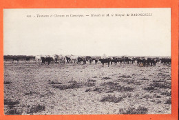 38912 / ⭐ ◉  (•◡•) Manade Marquis De BARONCELLI SAINTES-MARIES-MER St ◉ Taureaux Chevaux CAMARGUE 1910s ◉ PRESBYTERE 101 - Saintes Maries De La Mer