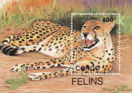 CONGO - FOGLIETTO FELINI - Raubkatzen