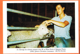 38885 / ⭐ VALEYRES 81-Tarn SORIN Elevage De Chèvres ANGORA 1990 Photo Christian LEVASSEUR MUTH 91/16 Tirage 300 Ex N°16 - Altri & Non Classificati