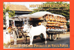 38610 / ⭐ JUVIGNAC-MONTPELLIER 44e Bourse Carte Postale 2008 Marchand POTIER Au CAMBODGE CP N° 1423 Photo Yves MIRMAN - Other & Unclassified