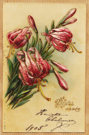 38754  / ⭐ ♥️ Art-Déco LYS Carte Gauffrée BONNE ANNEE 1905 Louise MENIUIER Institut Saint-François Sales Berck-Plage - Nouvel An