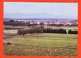 38620 / ⭐ OLONZAC-MINERVOIS Vignes Vignoble MINERVE 34-Hérault Photo JAUBERT - Autres & Non Classés