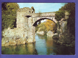 09 - ARIEGE - PONT Du DIABLE ENTRE  Les VILLAGES De GINABAT Et MONTOULIEU -  - Other & Unclassified