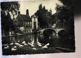 BELGIQUE - BRUGES - ENTRÉE Du BÉQUINAGE - CYGNES -  - Brugge