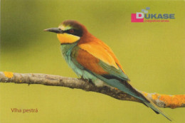 Oriolus Oriolus, Bird, Polygraphic, Czech Rep. 2024, 90 X 60 Mm - Tamaño Pequeño : 2001-...