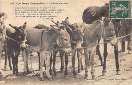 17-CHARENTE MARITIME FOLKLORE LES ANES-N°5137-D/0107 - Autres & Non Classés