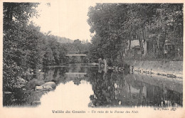 89-VALLEE DU COUSIN-N°5137-D/0007 - Other & Unclassified