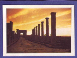 ALGERIE - TIMGAD - AURES VESTIGES DE LA VILLE - - Other & Unclassified