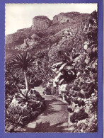 MONACO - JARDIN EXOTIQUE - ALLE DES ALOES -  - Exotic Garden