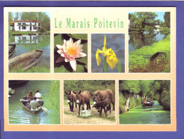 79 - MARAIS POITEVIN - MULTIVUES DU MARAIS -  - Autres & Non Classés