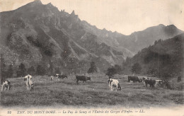 63-PUY DE SANCY-N°5137-F/0309 - Autres & Non Classés