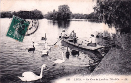 69 - LYON - Un Coin Du Lac De La Tete D Or - Autres & Non Classés