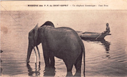 MISSIONS Des P P Du St Esprit - Un Elephant Domestique L ' Ami FRITZ - Éléphants