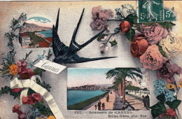 06 - Alpes Maritimes - Souvenir De CANNES  - Cannes