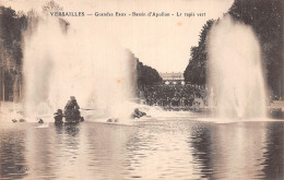 78-VERSAILLES LES GRANDES EAUX-N°5138-B/0291 - Versailles (Kasteel)