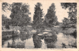 77-FONTAINEBLEAU LA FORET LA MARE AUX PIGEONS-N°5138-B/0287 - Fontainebleau