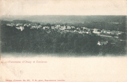 91 Panorama D' Orsay Et Environs CPA Cachet 1904 - Orsay