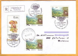 2007 Moldova Cover Special Cancellation "Month Of The Forest", Nature, Mushrooms, Birds - Moldavia