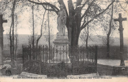 21-ALISE SAINTE REINE ALESIA-N°5138-D/0011 - Sonstige & Ohne Zuordnung