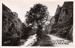 63-GORGES DE LA SIOULE PONT DE MENAT-N°5138-G/0209 - Autres & Non Classés