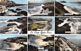 62-LE CAP GRIS NEZ-N°5138-F/0193 - Altri & Non Classificati