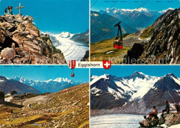 13314797 Fiesch Eggishorn Jungfraugebiet Kuehboden Walliser Alpen Aletschhorn Fi - Andere & Zonder Classificatie