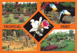 56 SAINT JACUT LES PINS TROPICAL FLORAL PARC - Sonstige & Ohne Zuordnung