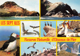 56 LES SEPT ILES RESERVE NATURELLE - Sonstige & Ohne Zuordnung