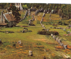 56 CARNAC ALIGNEMENTS DU MENEC   - Carnac