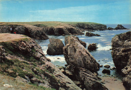 56 QUIBERON LA COTE SAUVAGE - Quiberon