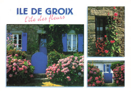 56 L ILE DE GROIX L ILE DES FLEURS - Groix