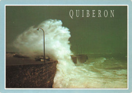 56 QUIBERON LA DIGUE - Quiberon