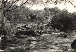 56 LE FAOUET COTEAU DE SAINTE BARBE - Le Faouet