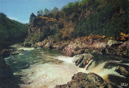 24 AUVEZERE LES GORGES - Altri & Non Classificati