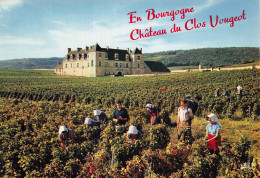 21 CLOS VOUGEOT LE CHATEAU - Sonstige & Ohne Zuordnung