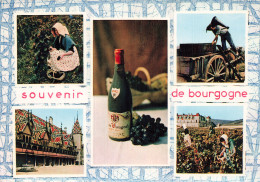21 BOURGOGNE VENDANGES - Other & Unclassified