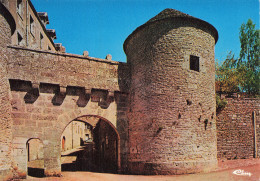 21 FLAVIGNY SUR OZERAIN PORTE DU VAL - Sonstige & Ohne Zuordnung