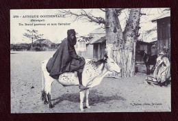 Senegal, Un Boeuf Porteur Et Son Cavalier, New, Small Size, Verso Divided. Ed. P.Tacher No.279. - Senegal