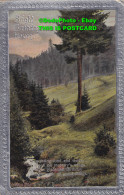 R355460 Bright Birthday Hours. Forest. Postcard - World