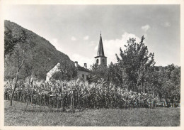 Postcard Switzerland Arcegno Kirche - Other & Unclassified