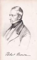 Robert Brown - (1773-1858) Botaniker Botanist / Portrait / Botanical Botanik Botany - Prenten & Gravure