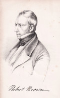 Robert Brown - (1773-1858) Botaniker Botanist / Portrait / Botanical Botanik Botany - Stampe & Incisioni