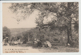 SAINT CLOUD - HAUTS DE SEINE - LE PARC - LE PRE AUX CHEVRES - Saint Cloud