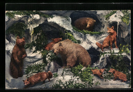 AK Luzern, Ausgestopfte Bären Und Füchse Im Gletschergarten, Alpentier-Museum  - Bears